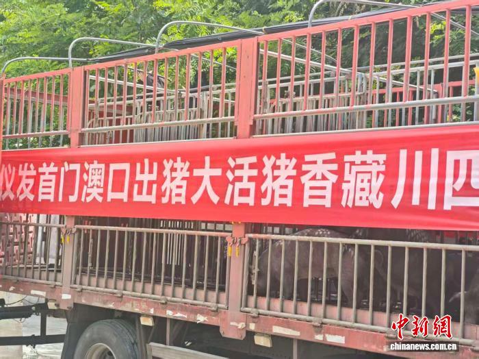 深入解读最新赛事动态，掌握赛场脉搏。 - 球探比分